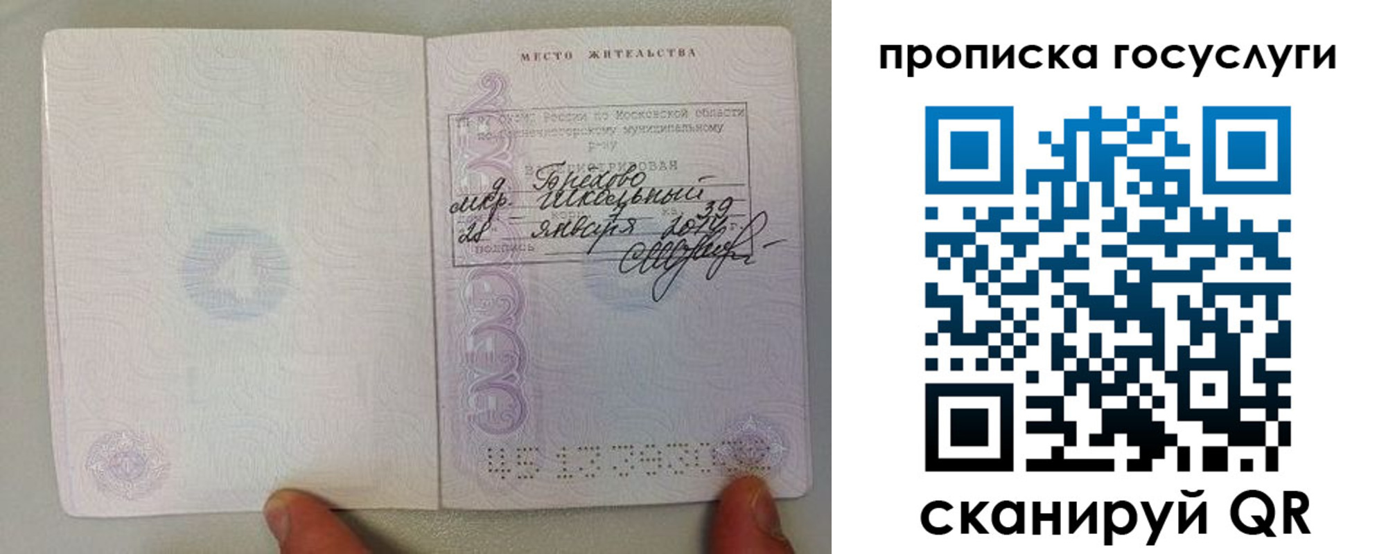временная регистрация для всех в Елизово
